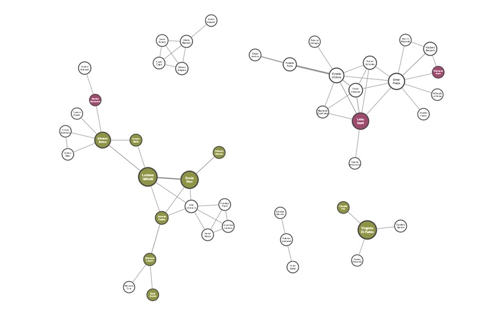 screenshot showing adaptive packing